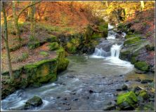 healey dell rochdale feb 2012.jpg